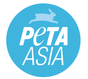 Thai Campaign Coordinator